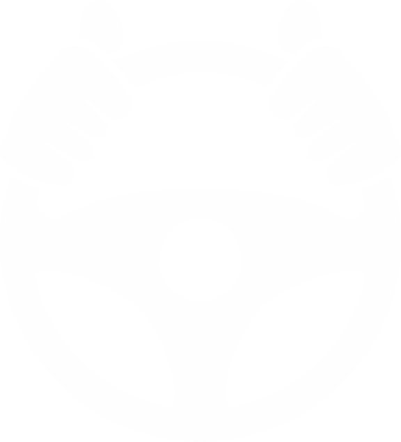 Relais de volant Guiido